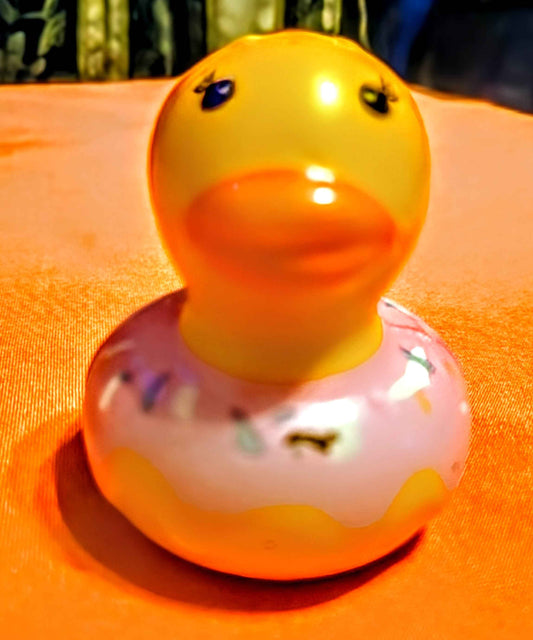 Dizzy Daisy the Donut Girl Duck Squishy - Red Dirt Dreaming by Em