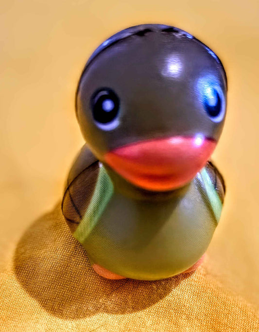 Todd the Tedious Turtle Duck Squishy - Red Dirt Dreaming by Em