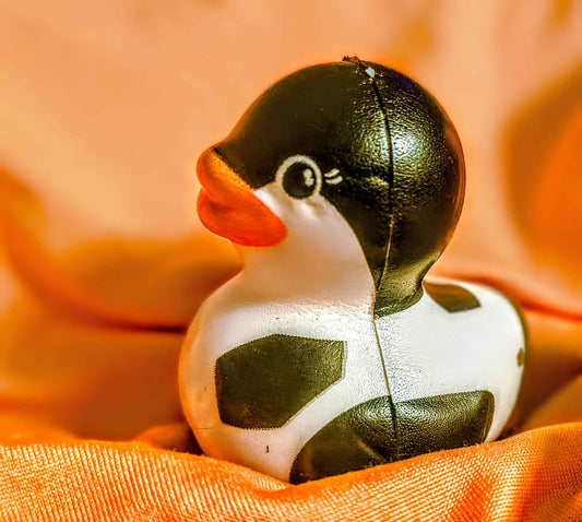 Soccerball Sally the Fanatic Duck Squishy - Red Dirt Dreaming by Em