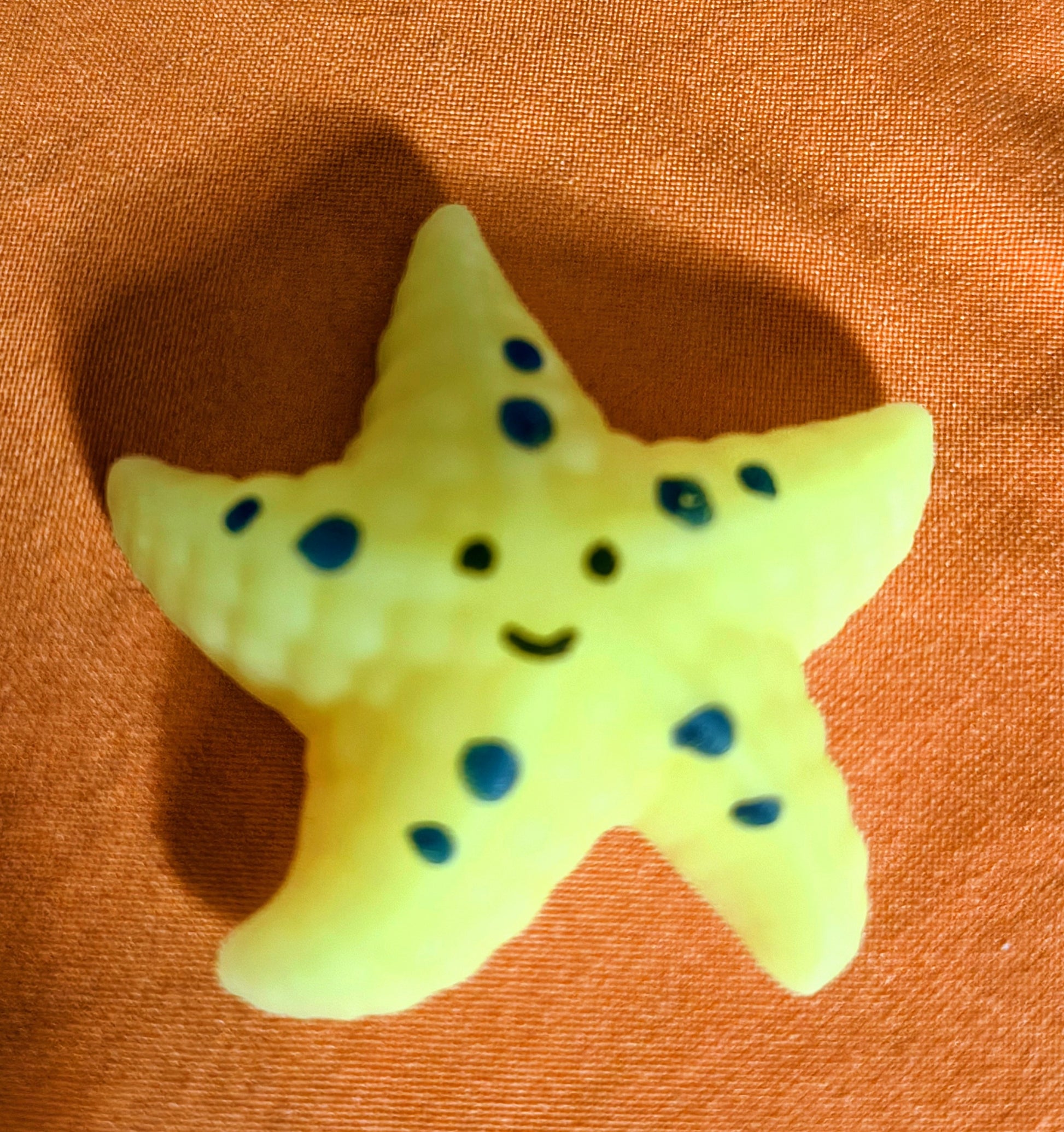 Starfish Squishy - Medium - Red Dirt Dreaming by Em