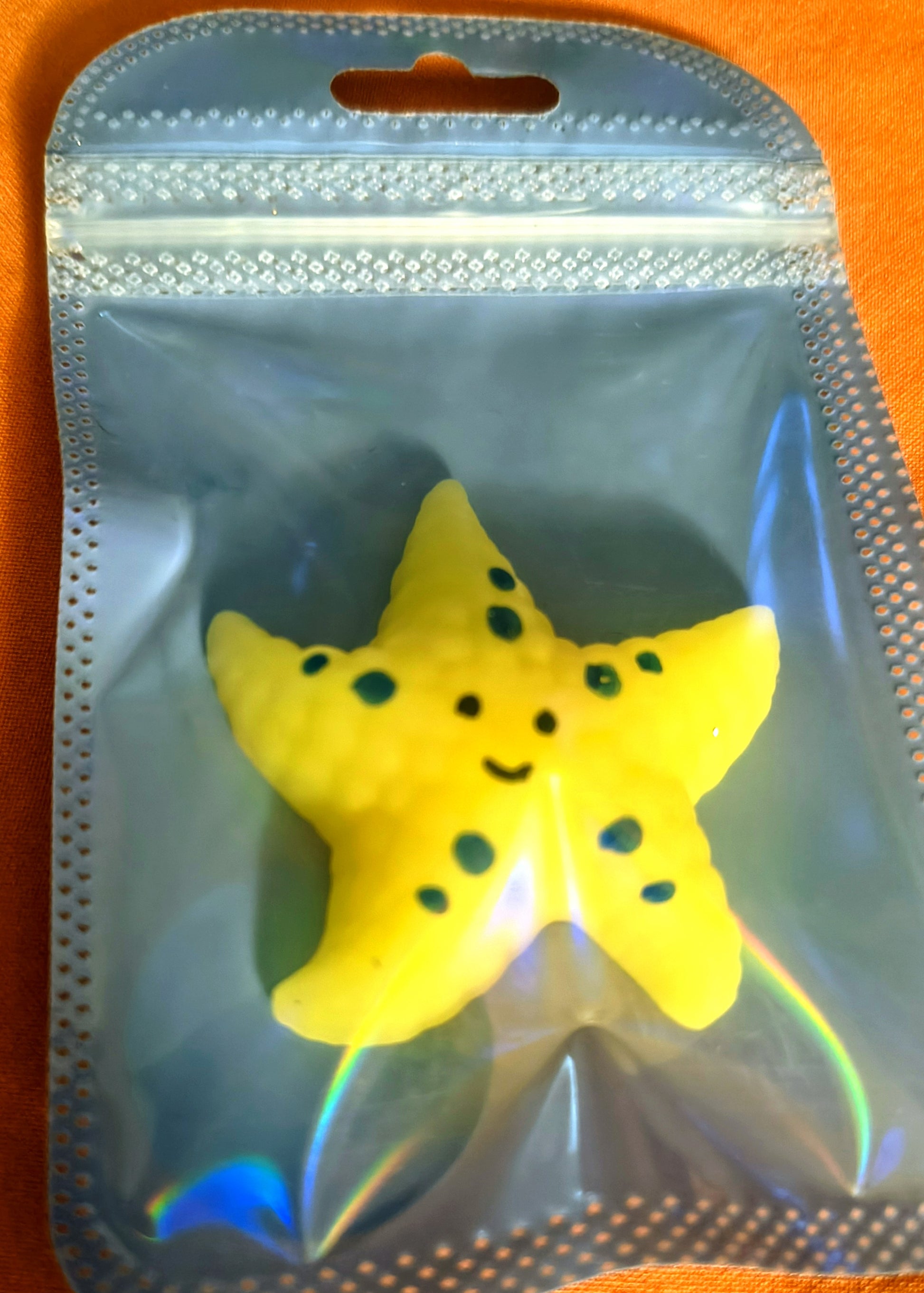 Starfish Squishy - Medium - Red Dirt Dreaming by Em