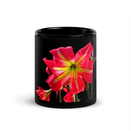 Hippieastrum Black Glossy Mug - Red Dirt Dreaming by Em